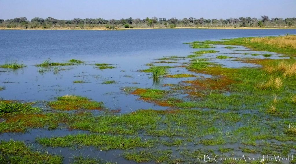 BeCuriousAboutTheWorld - Okavango Delta