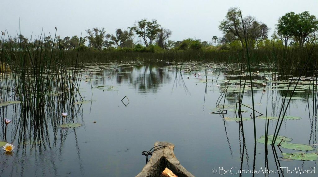 BeCuriousAboutTheWorld - Okavango Delta